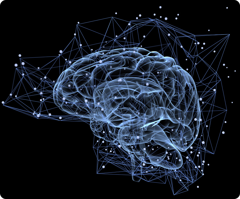 An image of the neural network inside a brain